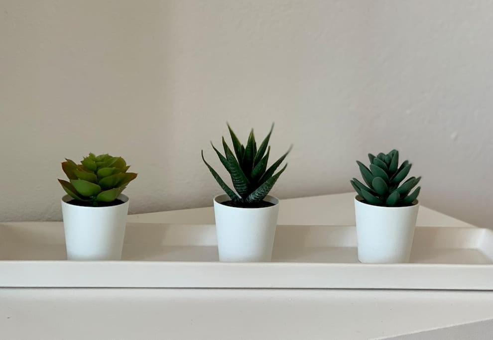 Salitre Apartamento エル・ゴルフォ エクステリア 写真